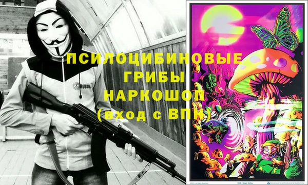 твердый Арсеньев