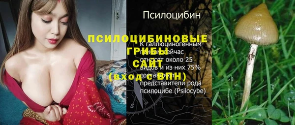 трава Армянск