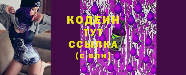 ПСИЛОЦИБИНОВЫЕ ГРИБЫ Галич