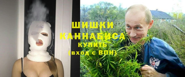 твердый Арсеньев