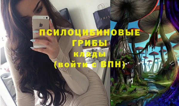 твердый Арсеньев