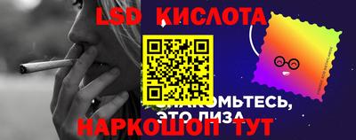 Альфа ПВП Малгобек