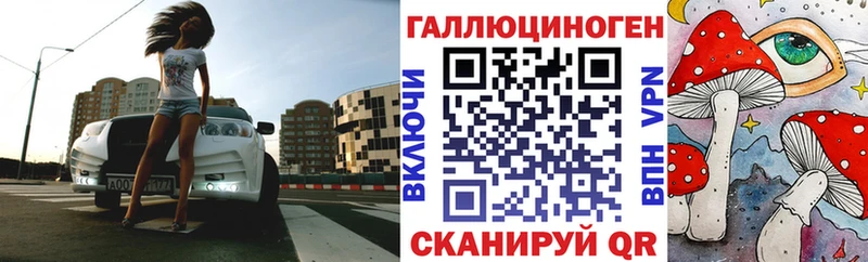 Псилоцибиновые грибы Magic Shrooms  купить   ОМГ ОМГ маркетплейс  Карачаевск 