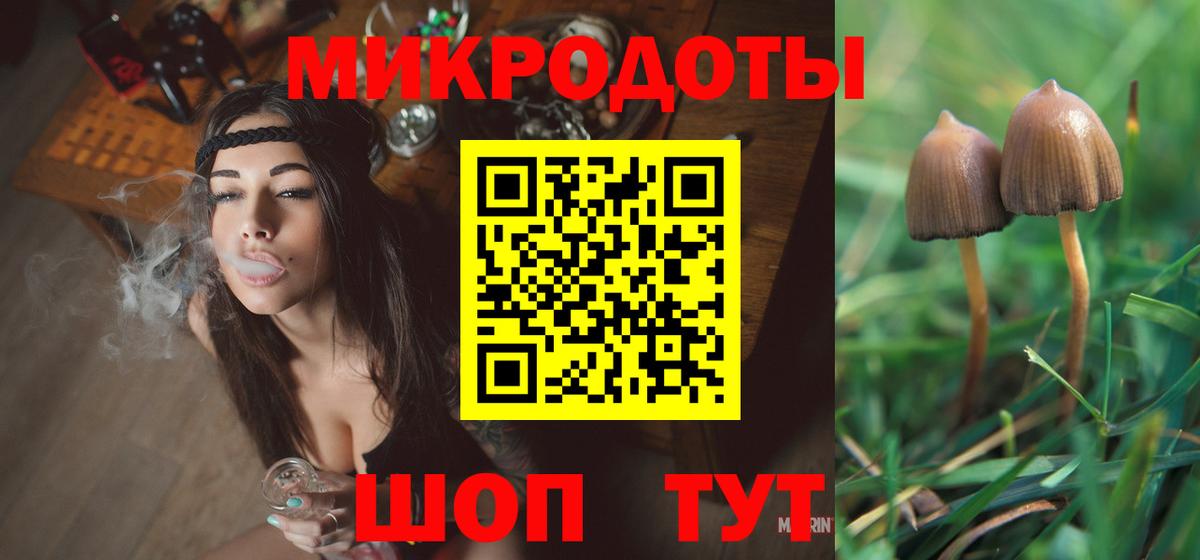 Псилоцибиновые грибы прущие грибы Карачаевск